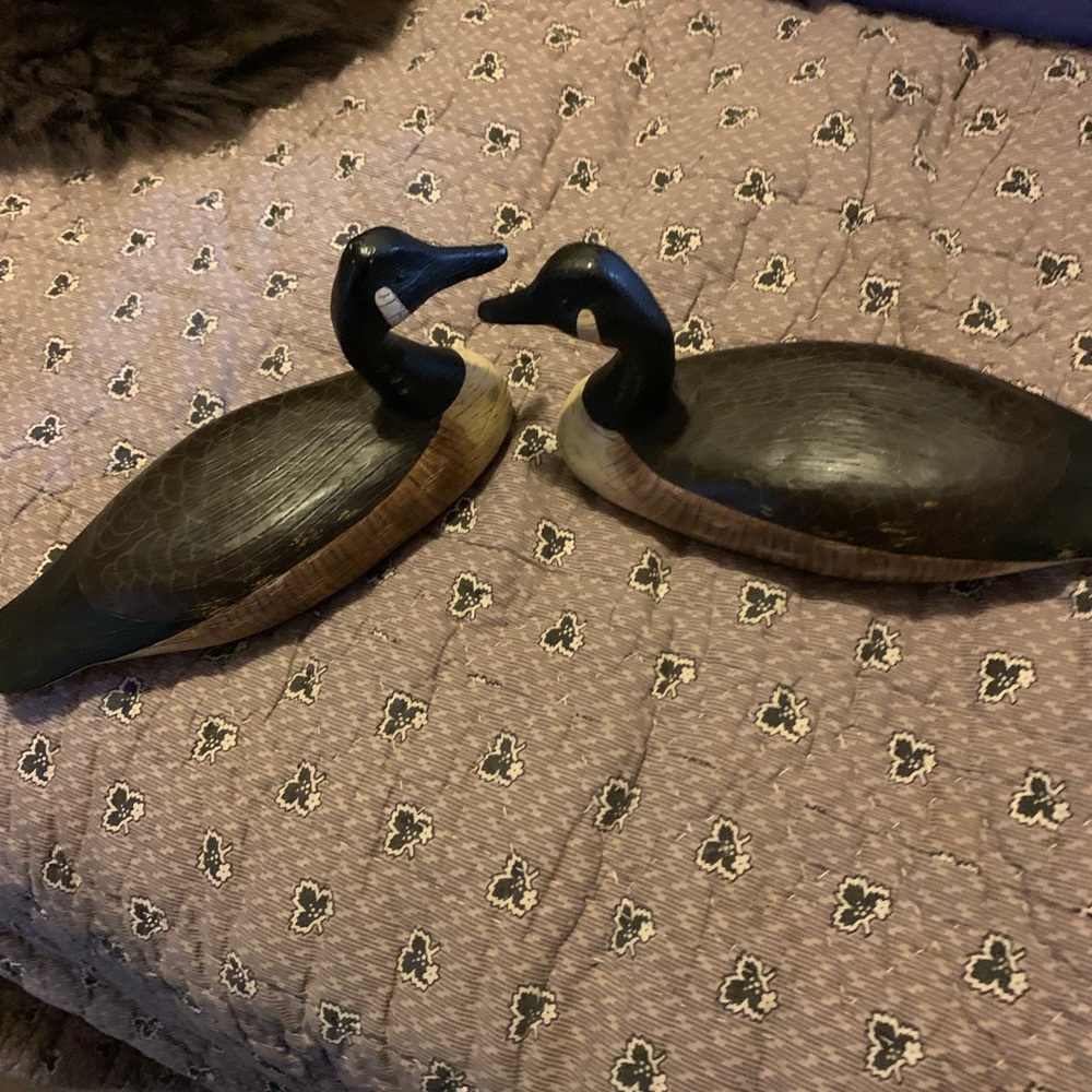 Hand painted geese